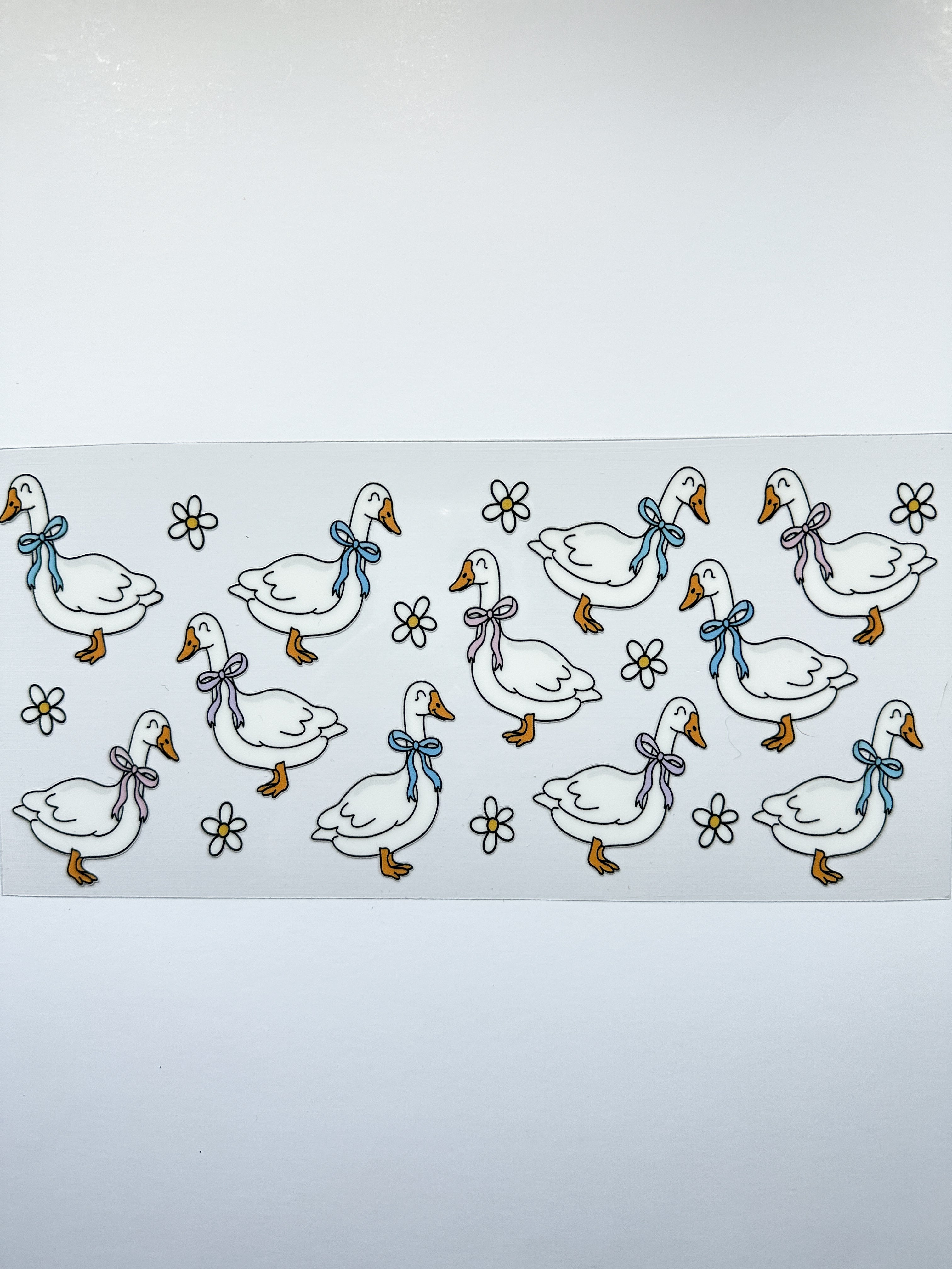 Ducks and Flowers